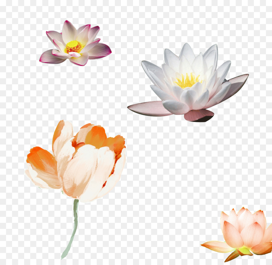 900x880 Paper Flower Watercolor Painting Floral Design Poster