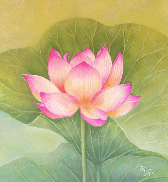 570x619 Pink Lotus Flower Watercolor Painting Art Print Children Art Etsy