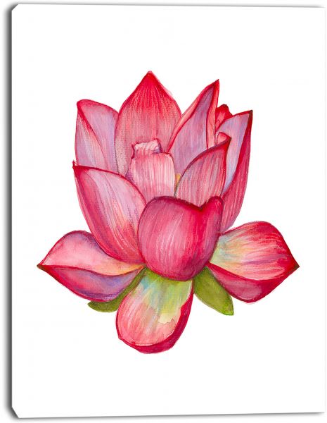 465x600 Souq Design Art Pink Lotus Watercolor Illustrationflower Artwork