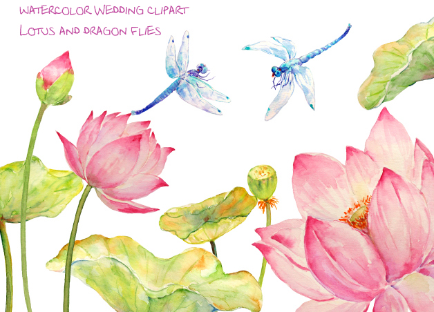 628x452 Watercolor Lotus And Dragon Fly By Cornercroft