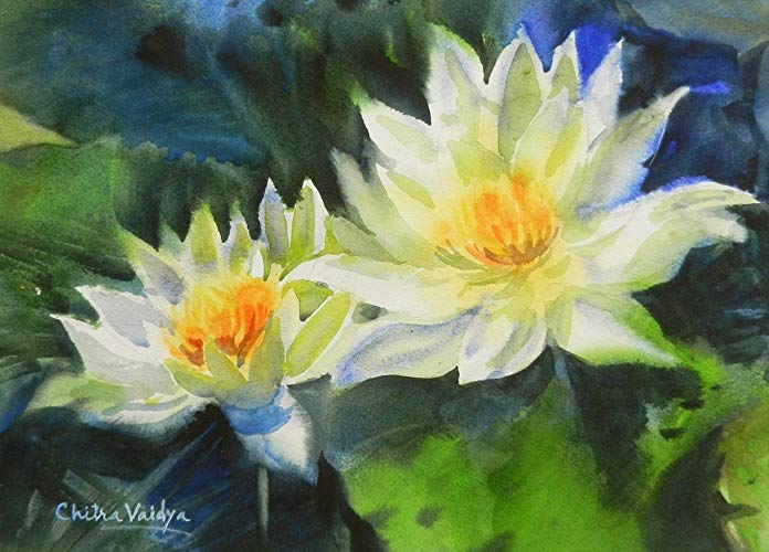 696x500 White Lotus (Watercolor Painting By Chitra Vaidya) Chitra Vaidya