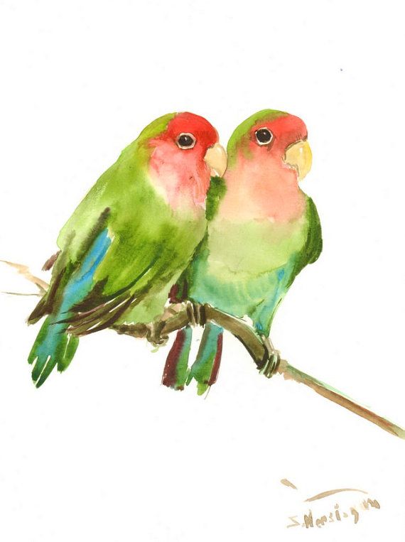 570x763 Lovebirds, Original Watercolor Painting, 12 X 9 In, Lovebirds Art