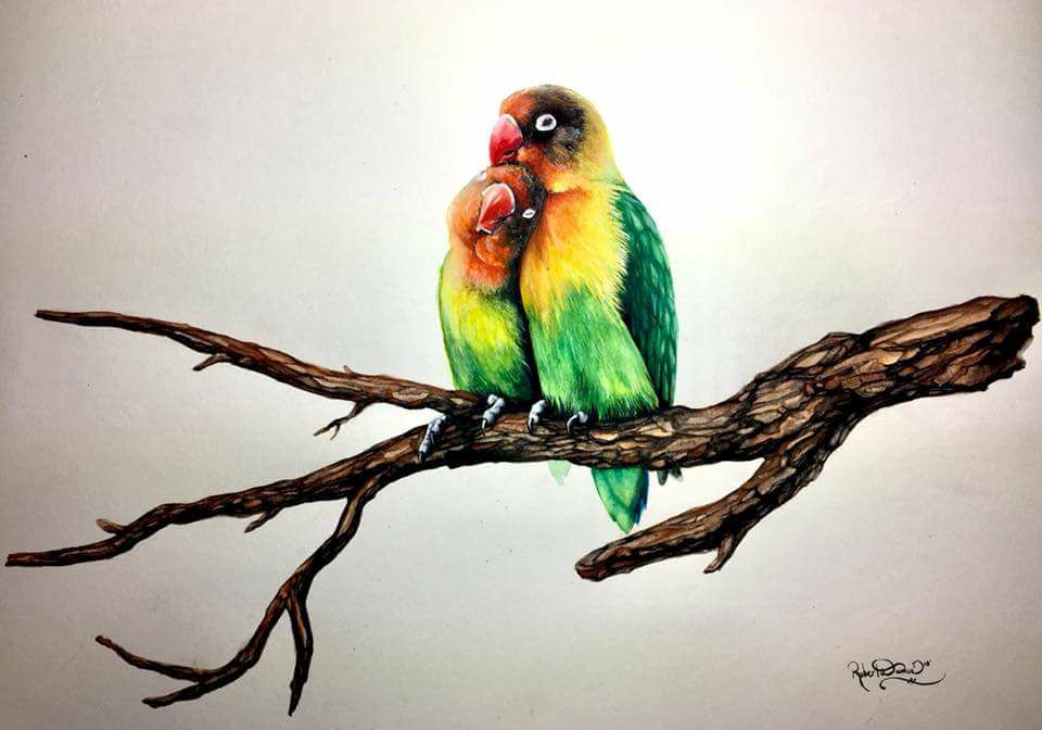 960x672 Lovebirds, Watercolor, 11x14 Art