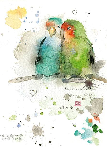 442x620 Lovebirds