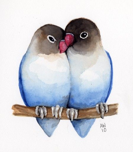 450x514 Lovebirds