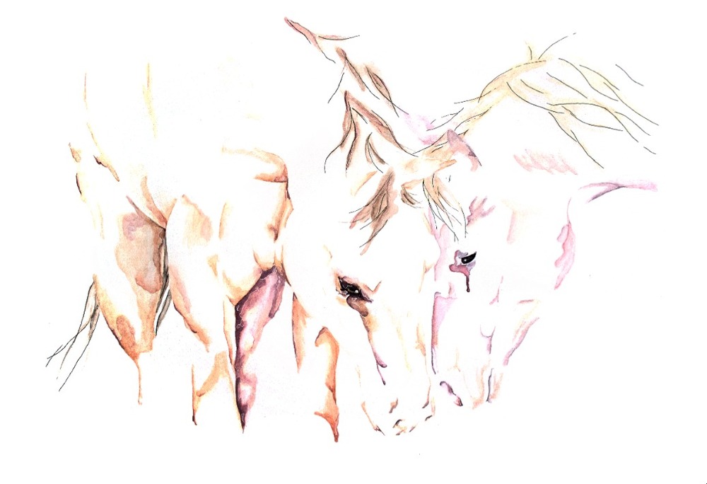 1000x684 Watercolor Bradley Wilson Studios