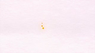 320x180 Vibrant Watercolor Loop Motion Background