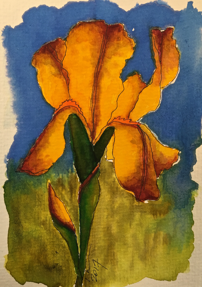 670x950 Post Cards, 5 D.katie Powell Art