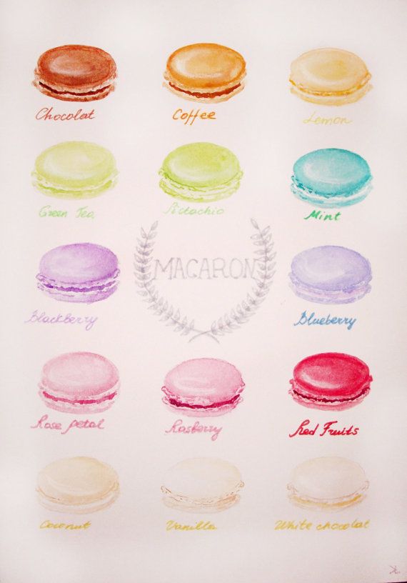 570x816 Watercolor French Macaron Illustration....love Watercolor Art