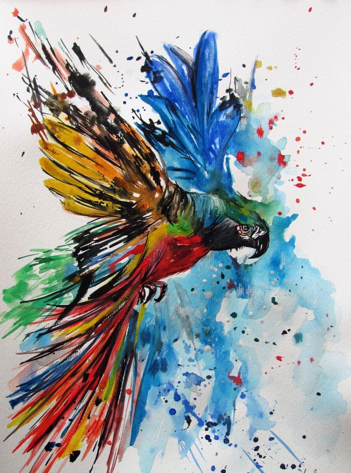 The best free Parrot watercolor images. Download from 78 free ...