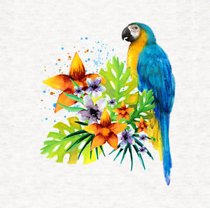 300x297 Macaw, Macaw Parrot Tropical Watercolor