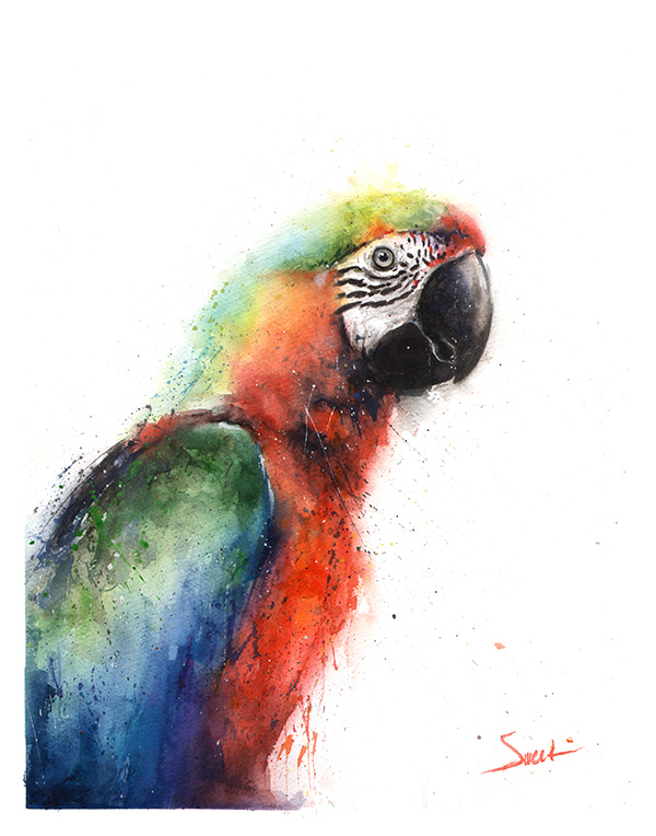 600x764 Macaw Parrot Watercolor Print Watercolor Animal Paintings