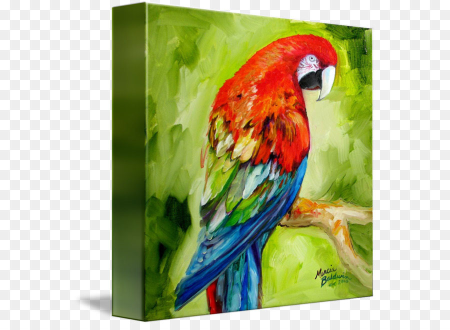 900x660 Macaw Watercolor Painting Parrot Canvas