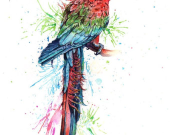 340x270 Macaw Watercolor Etsy