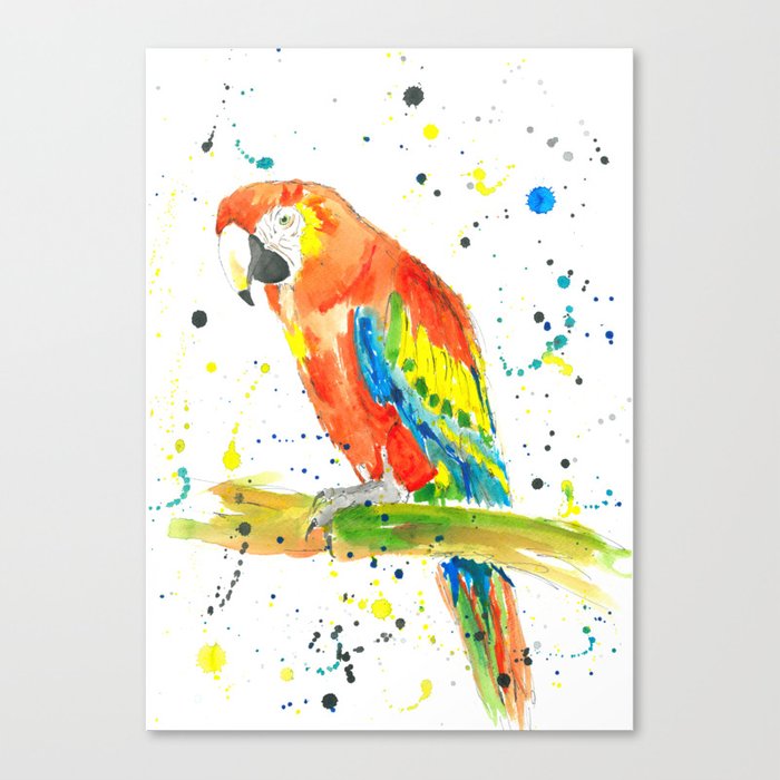 700x700 Parrot (Scarlet Macaw)