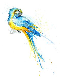 236x312 Parrot Painting