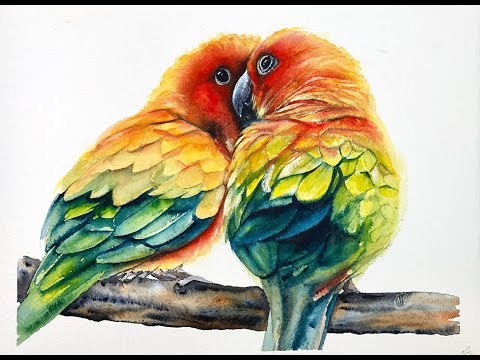480x360 Parrots In Watercolors Painting Tutorial