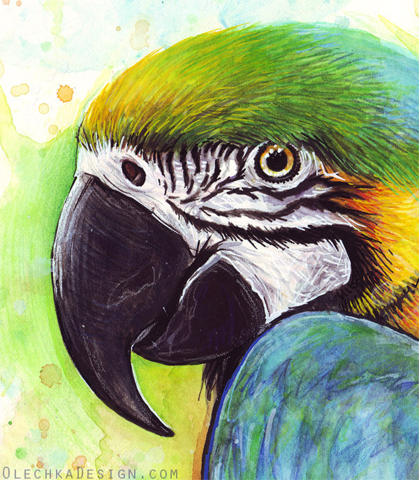 600x687 Colorful Bird Watercolor Painting, Macaw Parrot (Detail)
