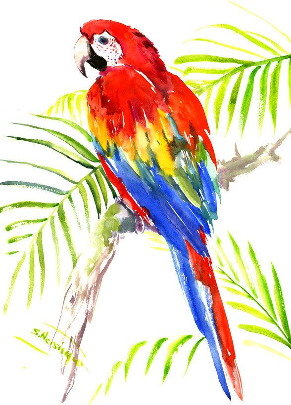 588x820 Scarlet Macaw, Original Watercolor Painting Bright Tropical Bird
