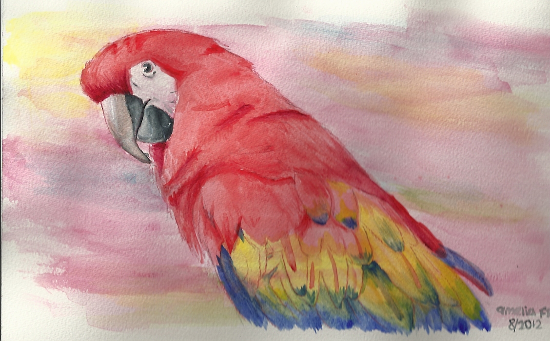 1128x700 Scarlet Macaw Watercolor By Aki Rain