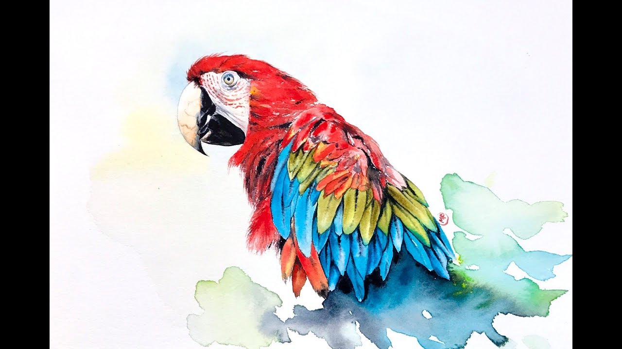1280x720 Watercolor Macaw Painting Demonstration