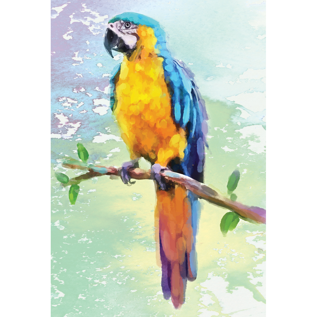 1100x1100 Exotic Macaw, Watercolour