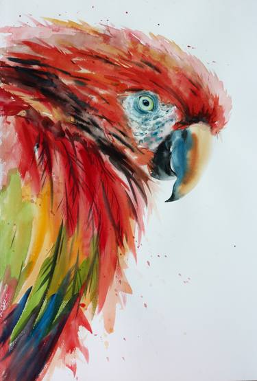 375x555 Great Macaw Bird Art In Watercolor Painting By Pornthep