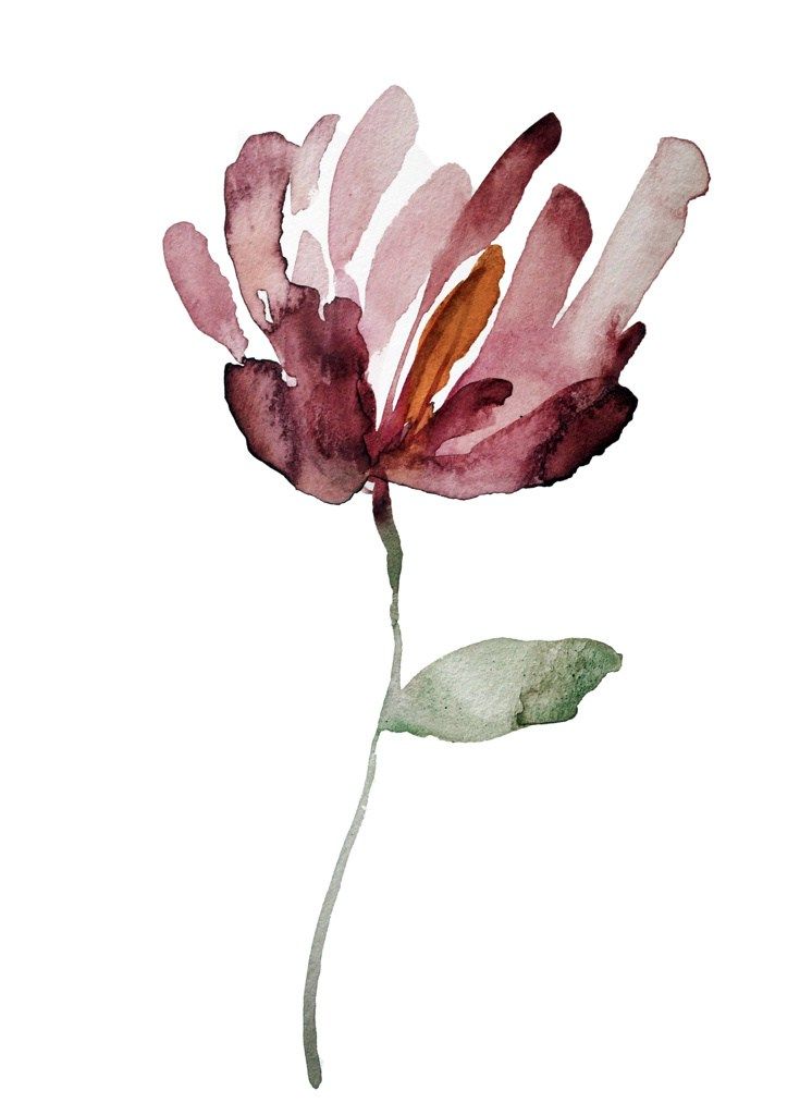 746x1024 Image Result For Simple Magnolia Flower Watercolor Art