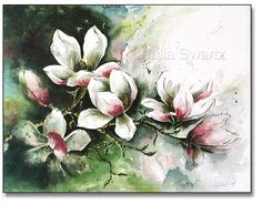 236x185 40 Best Magnolia Watercolour Images Painting