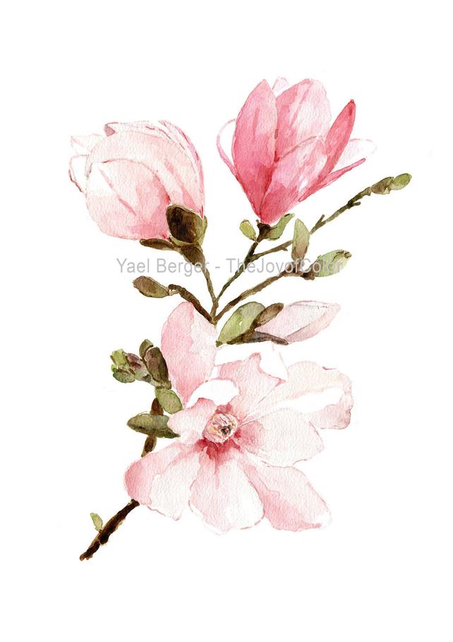 642x909 Magnolia Watercolor Painting Mongolia Flowers Watercolor Etsy