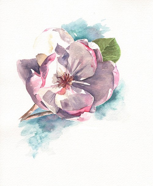 500x605 Watercolor Magnolia Flower Tattoo Design