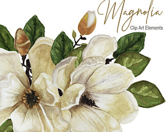 340x270 Watercolor Magnolia Etsy