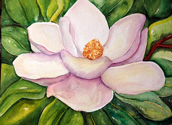 Magnolia Watercolor