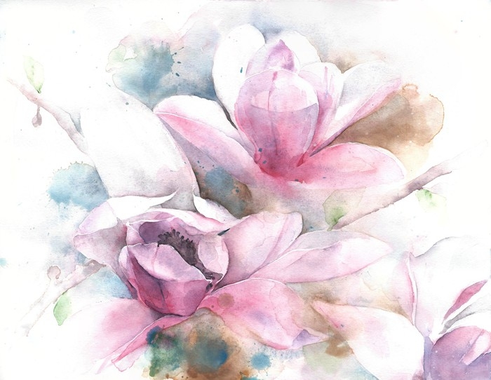 700x542 Magnolia Flower Tree Tulip Magnolia Watercolor Painting