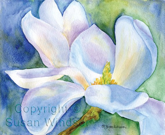 570x467 Magnolia Watercolor Painting Giclee Print 10 X 8 11 X 8.5