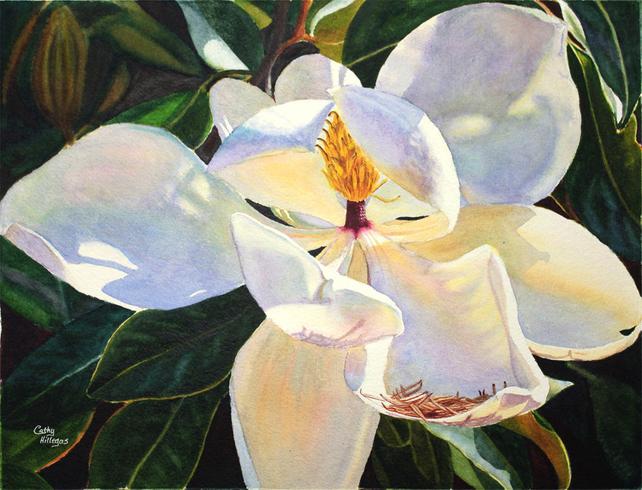642x490 Magnolia Watercolor Painting Print By Cathy Hillegas 11x14 Etsy