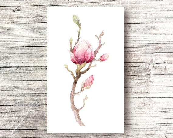 570x456 Magnolia Wall Art Watercolor Paintings Magnolia Watercolors Etsy