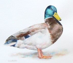 287x250 Mallard Duck Silvestri Studios