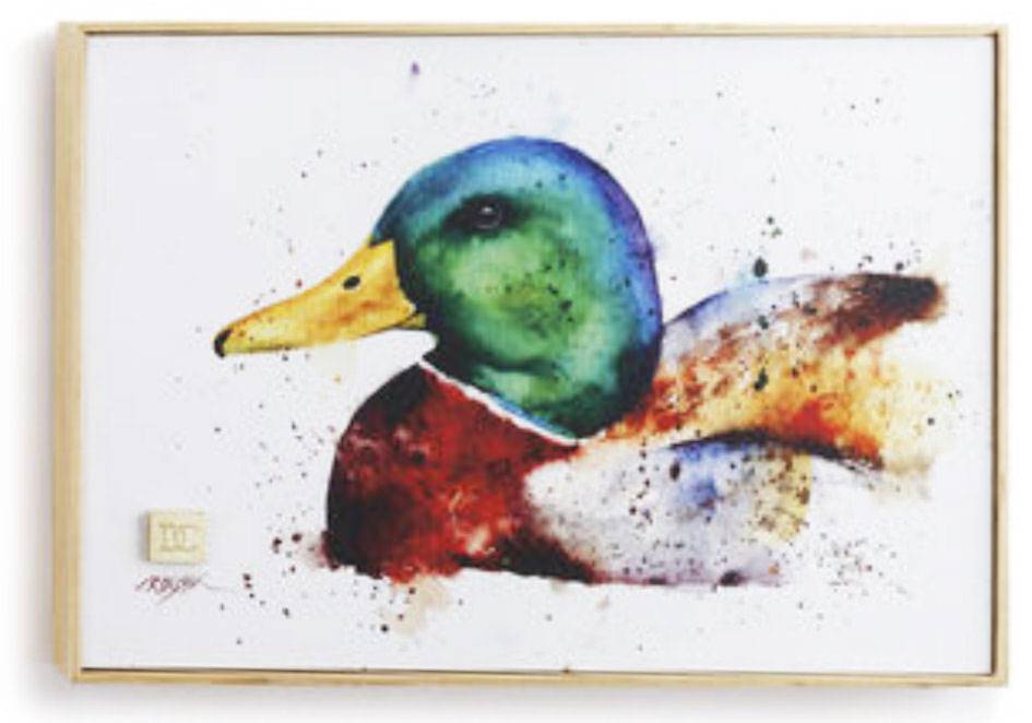 945x662 Watercolor Mallard Duck Wall Art
