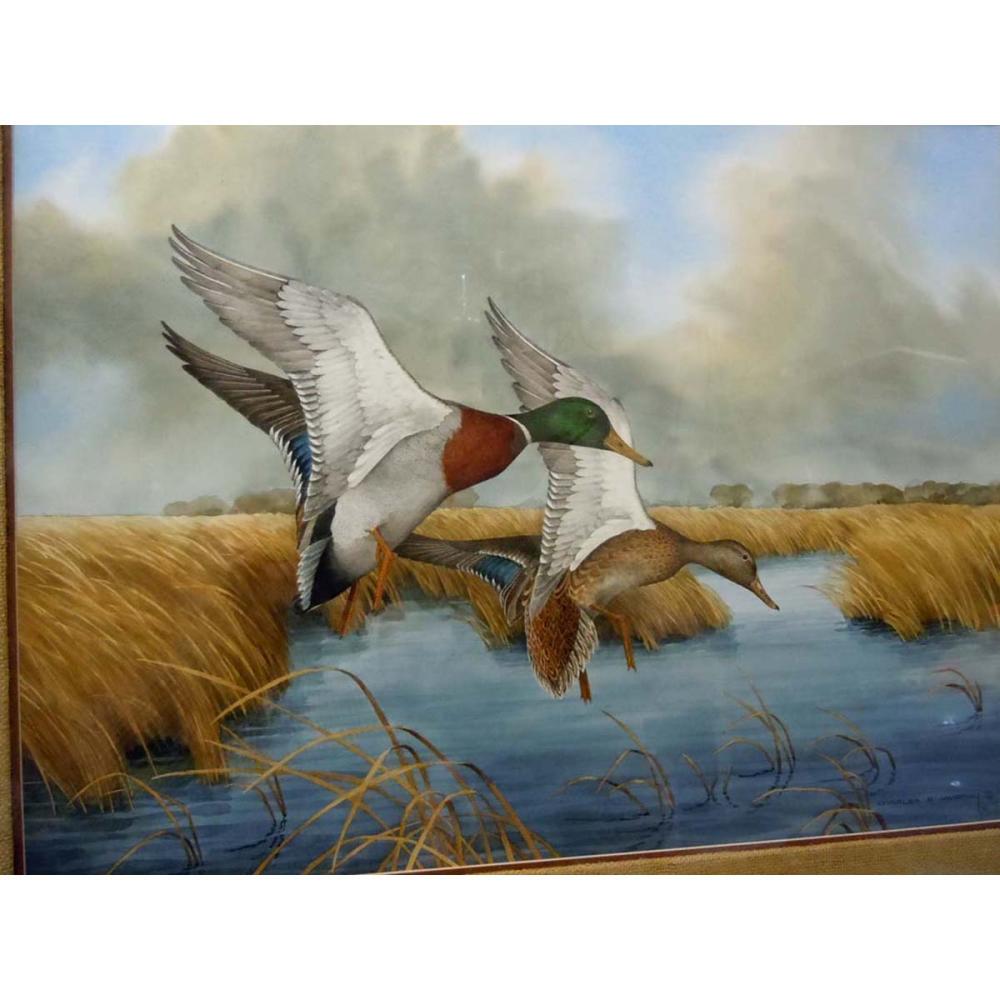 1000x1000 Charles E. Murphy Mallard Ducks Watercolor Painting