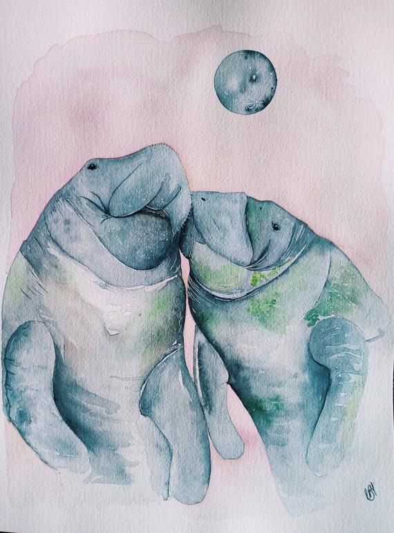 570x772 Manatee Watercolor Etsy
