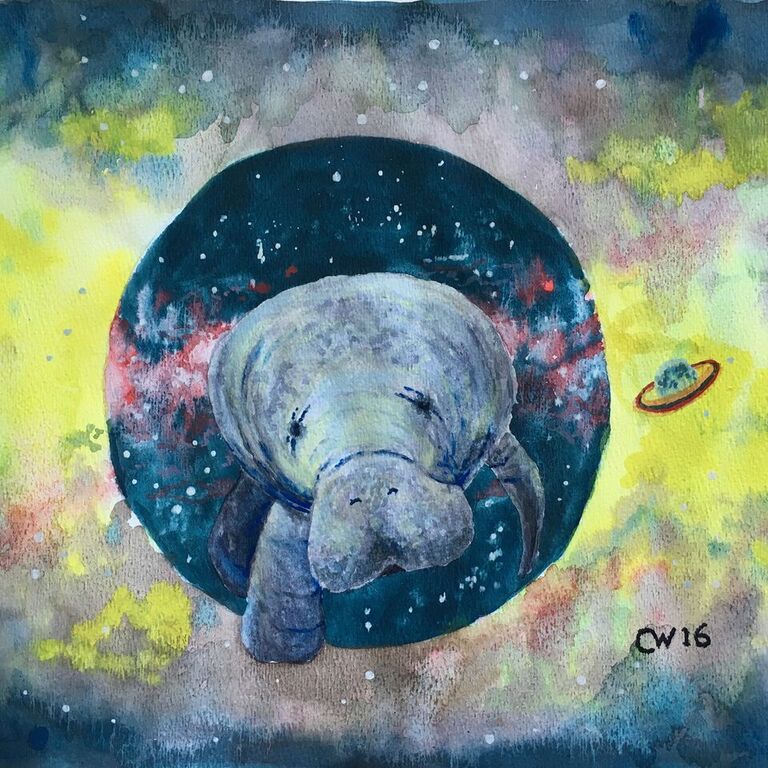 768x768 Space Manatee Curtis Whitwam