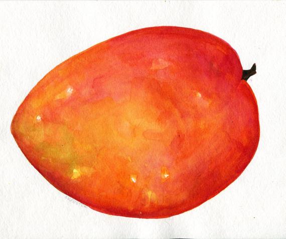 570x477 Mango Watercolor Painting Original 8 X 10 Fruit Artwork. Etsy