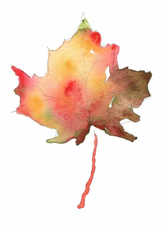570x798 Maple Leaf Watercolor Painting 5x7 Fine Art Print Nature Etsy