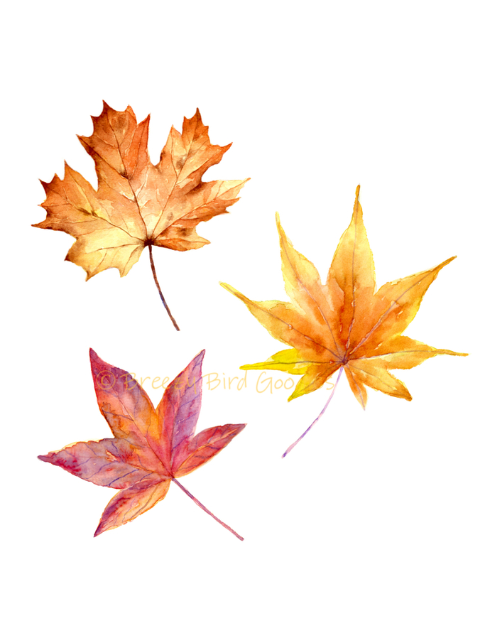 690x898 Maple Leaves Print, Autumn Leaves Breezy Bird Goodies