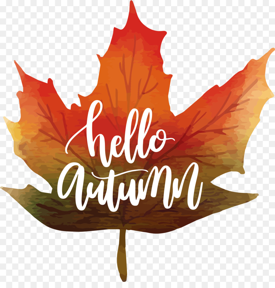 900x940 Maple Leaf Autumn Watercolor Painting Icon