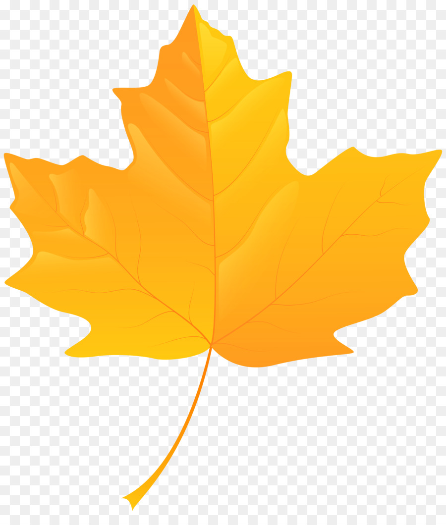 900x1060 Yellow Autumn Leaf Color Clip Art