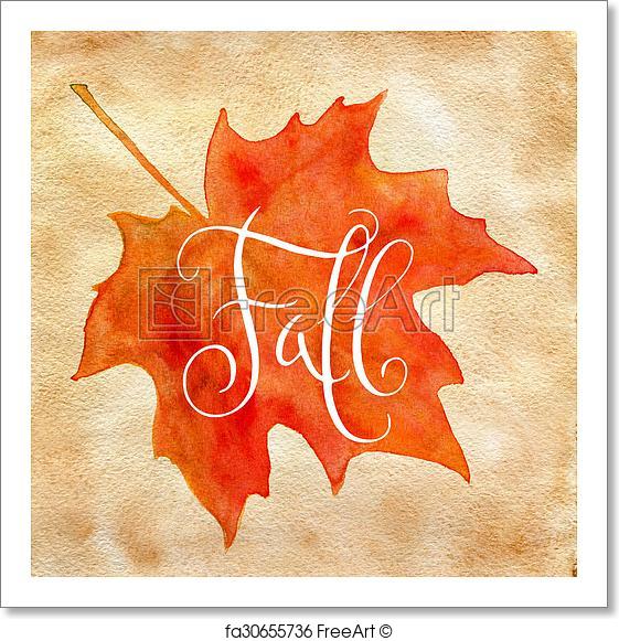 561x581 Free Art Print Of Watercolor Maple Leaf And Fall Word. Orange