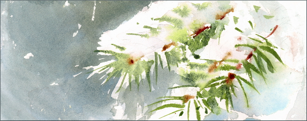 602x237 Watercolors By Maria Stezhko (Akvareli Marii Stezhko) 2014