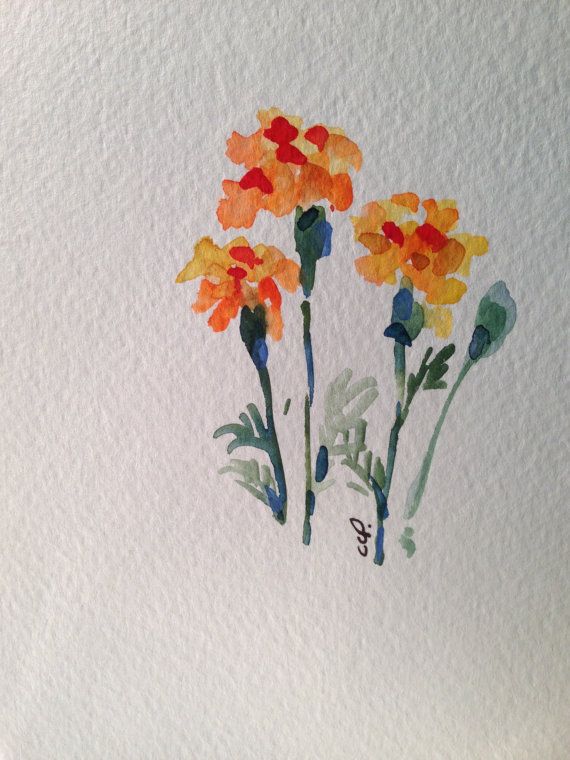 570x760 Marigold Watercolor Card Photo Watercolor Cards